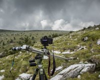 Finding Today's Shop Hours: Tips for Missing Business Information